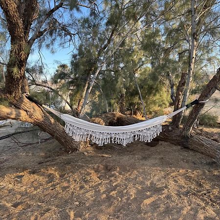 Casa Agave: Comfy Joshua Tree Cottage With Free Breakfast Bar Exterior foto