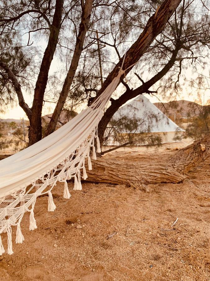 Casa Agave: Comfy Joshua Tree Cottage With Free Breakfast Bar Exterior foto